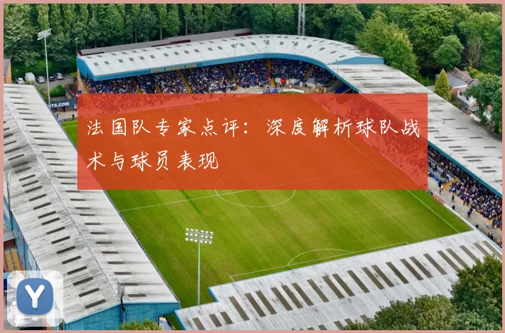 法国队专家点评:深度解析球队战术与球员表现
