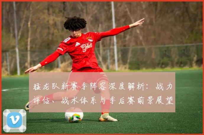 猛龙队新赛季阵容深度解析：战力评估、战术体系与季后赛前景展望