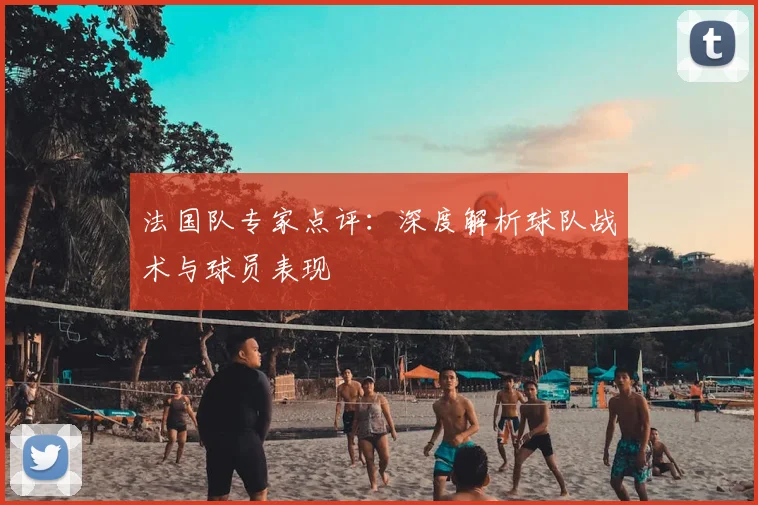 法国队专家点评:深度解析球队战术与球员表现